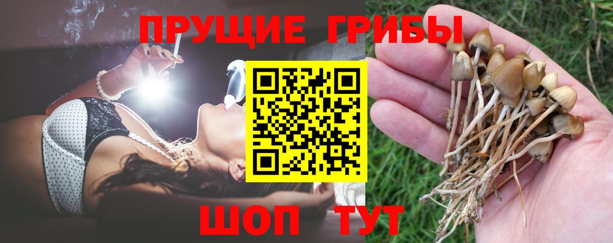 Галлюциногенные грибы Cubensis  Вход с VPN  Изобильный 
